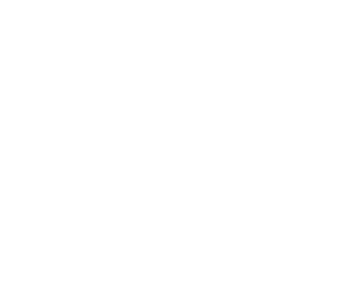 Tematiche - The partners of Ecommerce companies 2025