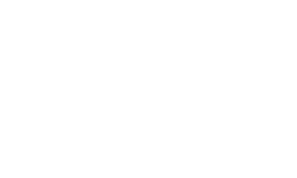 Tematiche - The partners of Ecommerce companies 2025
