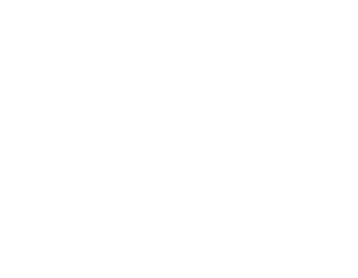 Tematiche - The partners of Ecommerce companies 2025