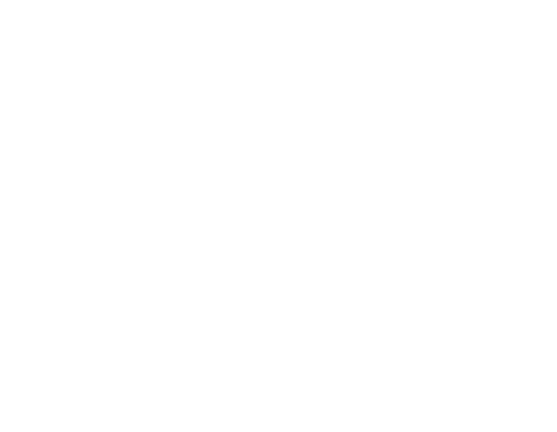 Tematiche - The partners of Ecommerce companies 2025